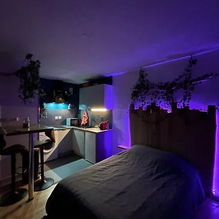 Au Cosy I Proche Europapark Apartment Erstein